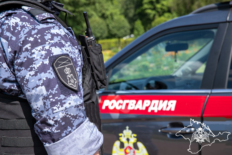Нетрезвый водитель задержан росгвардейцами в Евпатории
