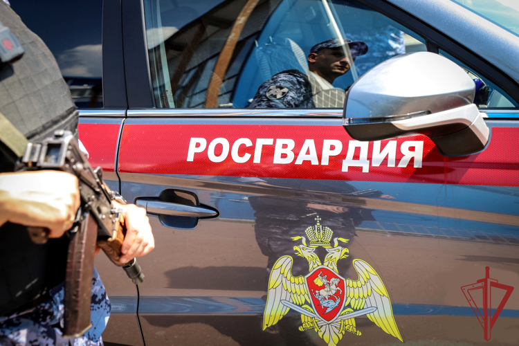 В Ялте росгвардейцы пресекли противоправные действия гражданина