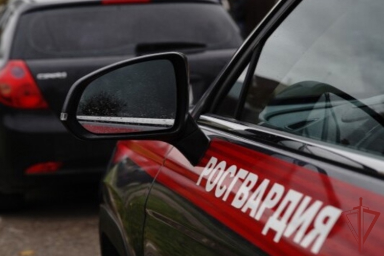 В Крыму росгвардейцы задержали нетрезвого водителя